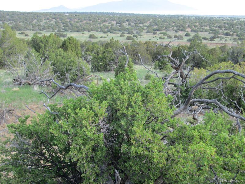lot 168 Twin Lakes Ranches Lot 168, Walsenburg, CO 81089