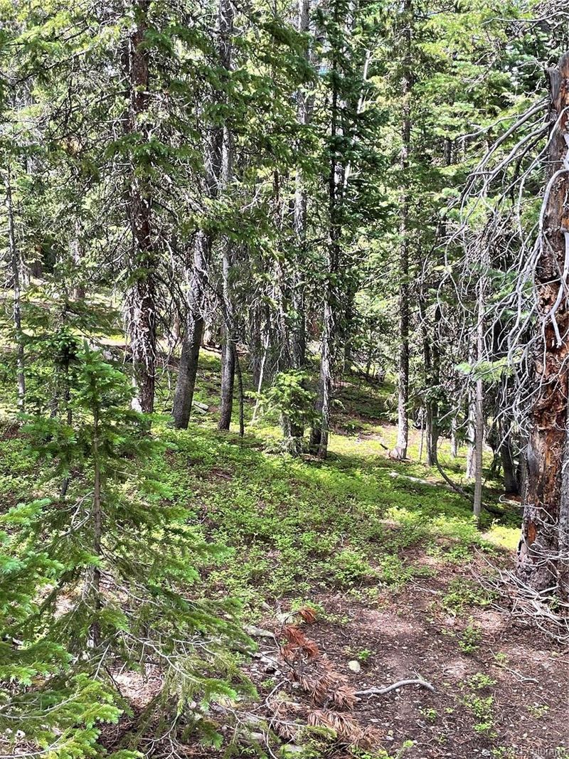 1260 Elk Park Rd, Black Hawk, CO 80422