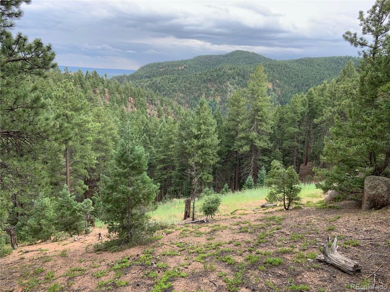 13982 Blue Jay Ln, Larkspur, CO 80118