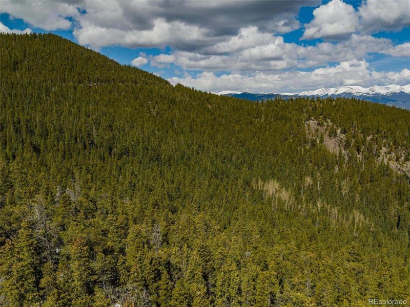 Co Highway 103, Idaho Springs, CO 80452