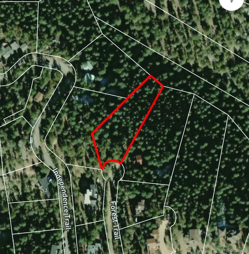 4465 Forest Trl, Evergreen, CO 80439