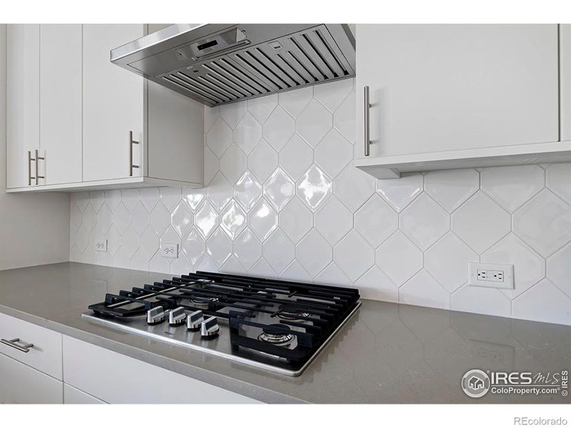 766 Kubat Ln #A, Longmont, CO 80503