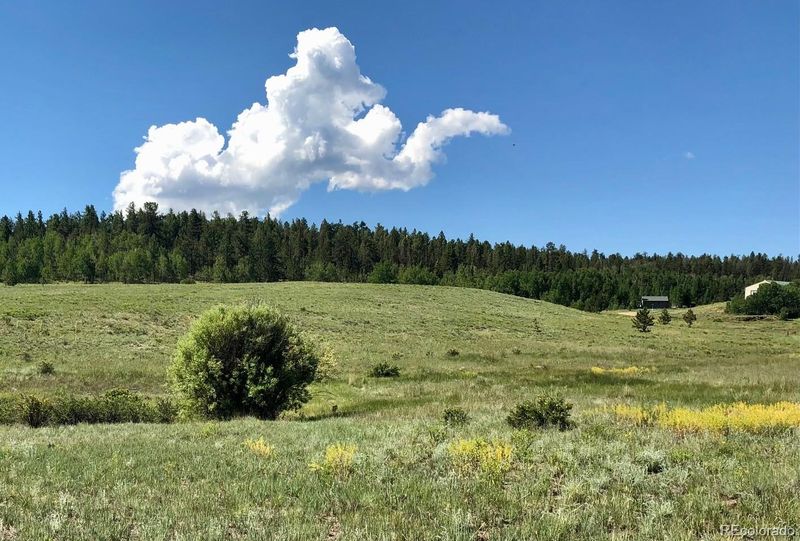 290 Aspen Trl Lot 63, Hartsel, CO 80449