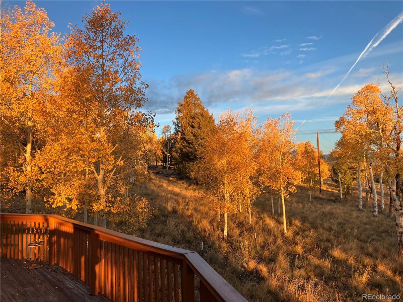 1931 Pitchfork Rd, Hartsel, CO 80449