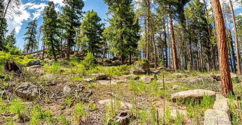 7442 Brook Forest Way, Evergreen, CO 80439