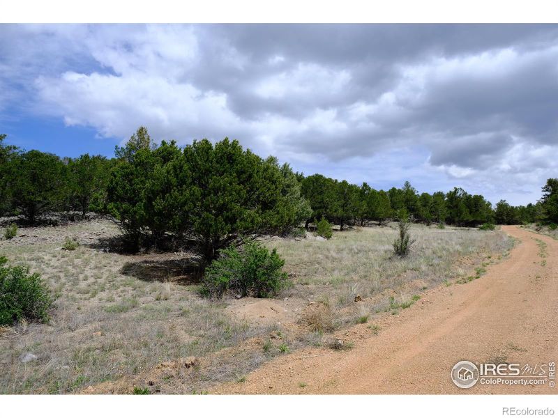 515 Sunset Trl, Cotopaxi, CO 81223