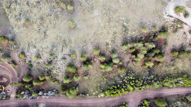 267 Bandana Rd, Hartsel, CO 80449