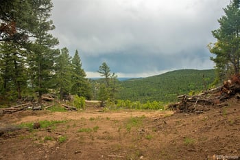 13864 N Trail Cir, Littleton, CO 80127