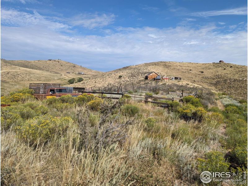 1005 Deer Meadow Way, Livermore, CO 80536