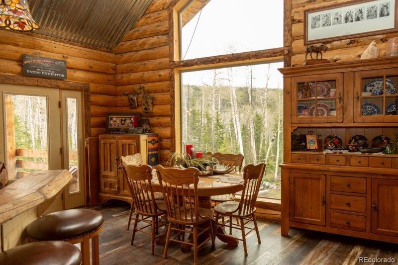 5353 Forest Road 504, Creede, CO 81130