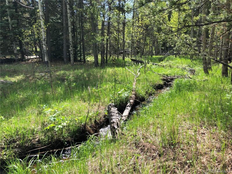 Lot 13m Indian Springs Rd, Conifer, CO 80433