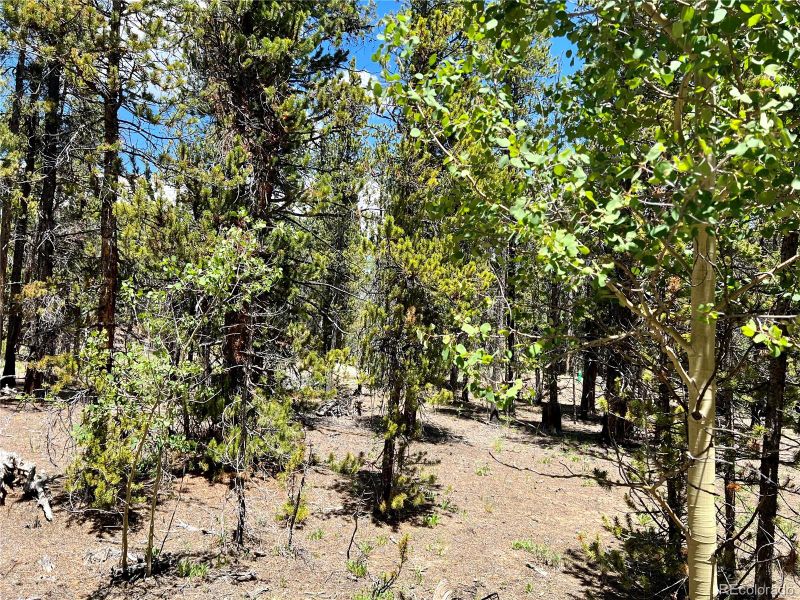 43 Elk Ln, Fairplay, CO 80440