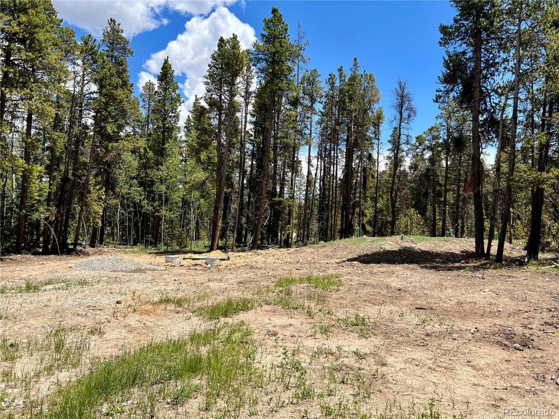 43 Elk Ln, Fairplay, CO 80440