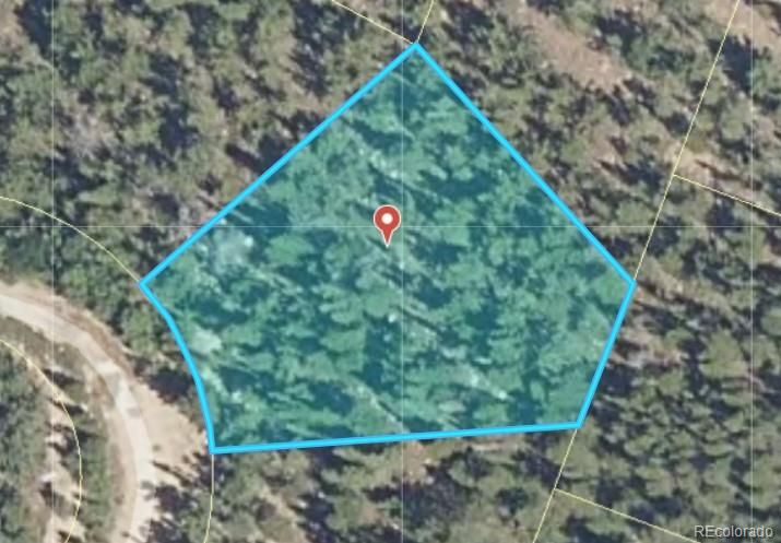 334 Eva Rd, Idaho Springs, CO 50452