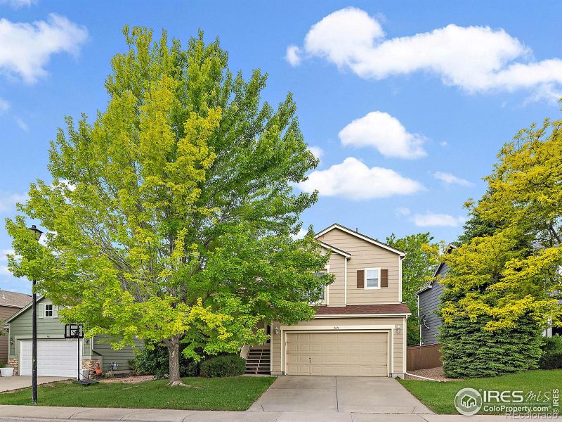 9671 Queenscliffe Dr, Highlands Ranch, CO 80130
