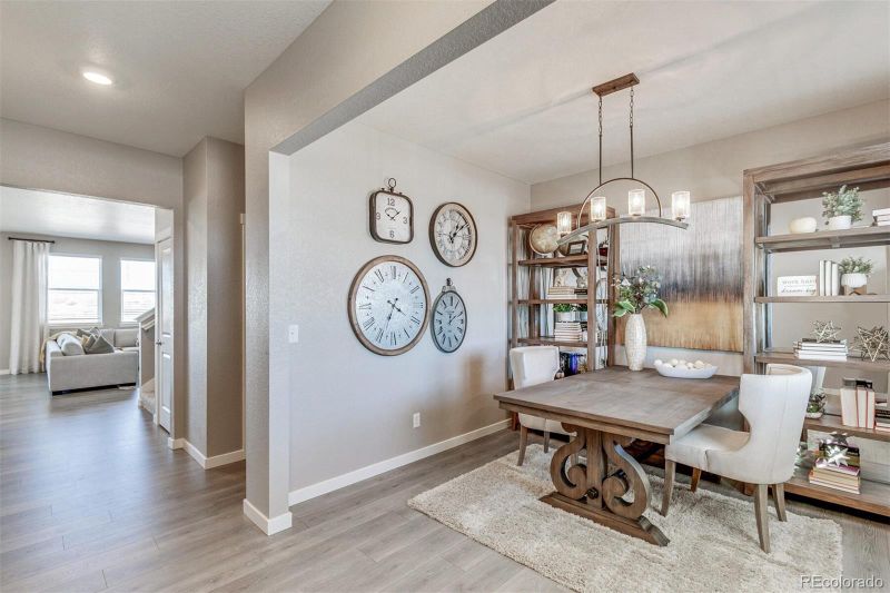 790 N Allium St, Watkins, CO 80137