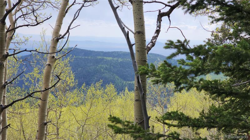 Lot 6884 Donna Rd, Fort Garland, CO 81133