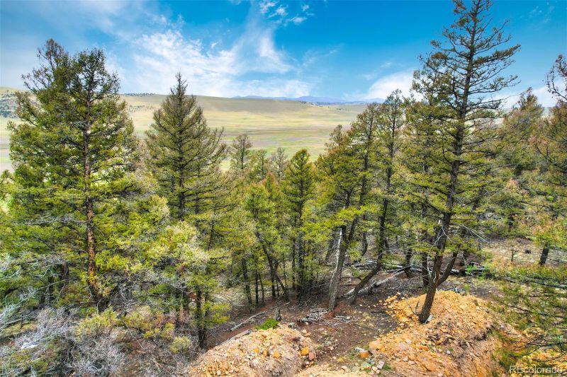 000 Middle Fork Vi Lot 367, Fairplay, CO 80440