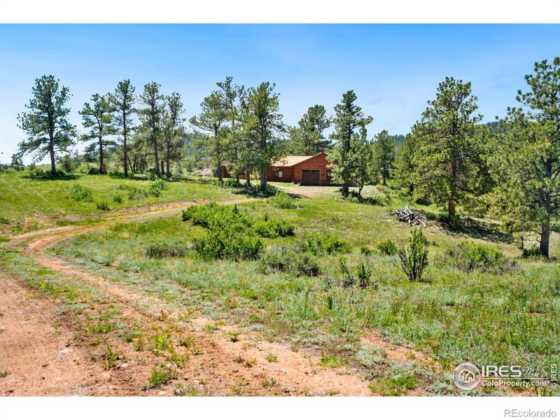 1633 Mount Simon Dr, Livermore, CO 80536