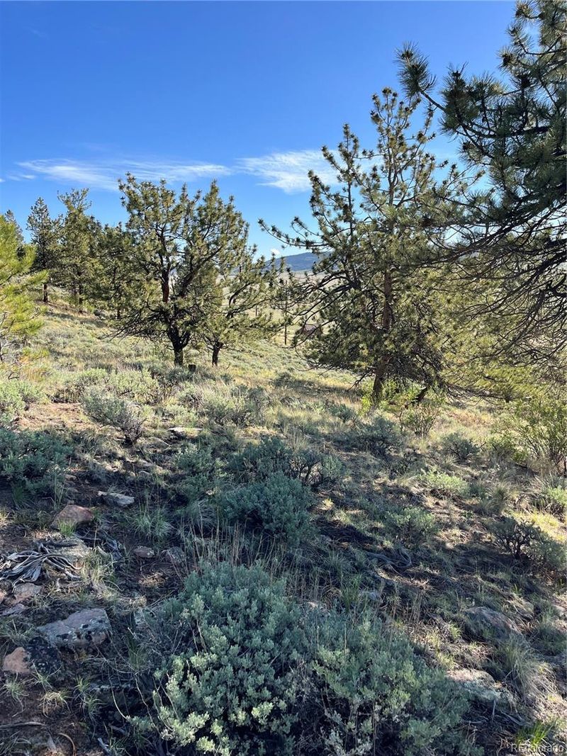 Redhill Ct Lot 490, Fairplay, CO 80440
