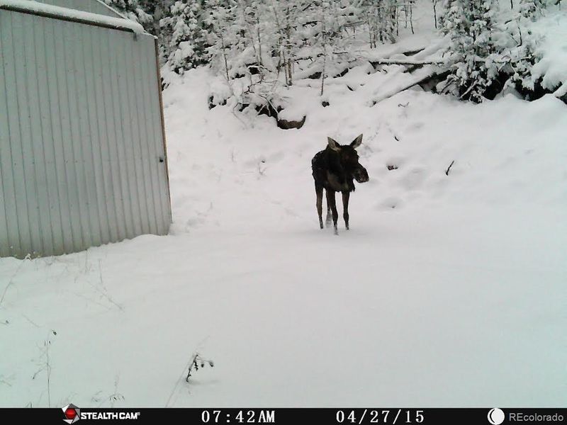 280 Co Road 50, Como, CO 80432