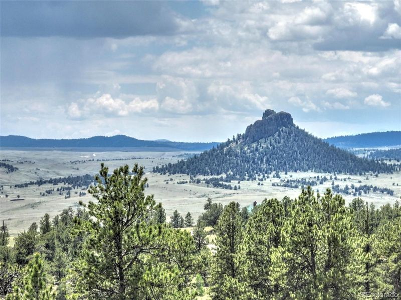 1595 Al Gulch Rd, Jefferson, CO 80456