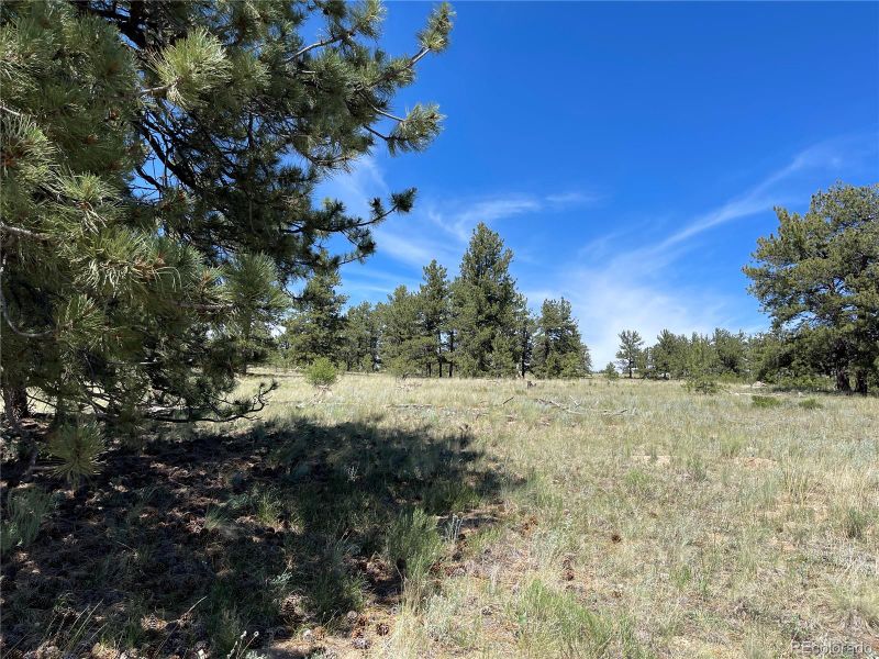 333 Jasper Way Lot 322, Hartsel, CO 80449