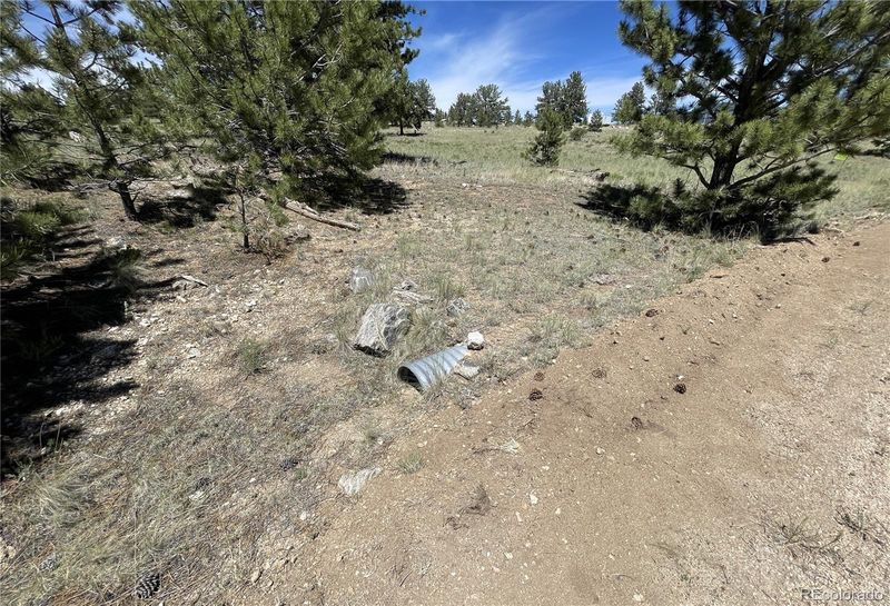333 Jasper Way Lot 322, Hartsel, CO 80449