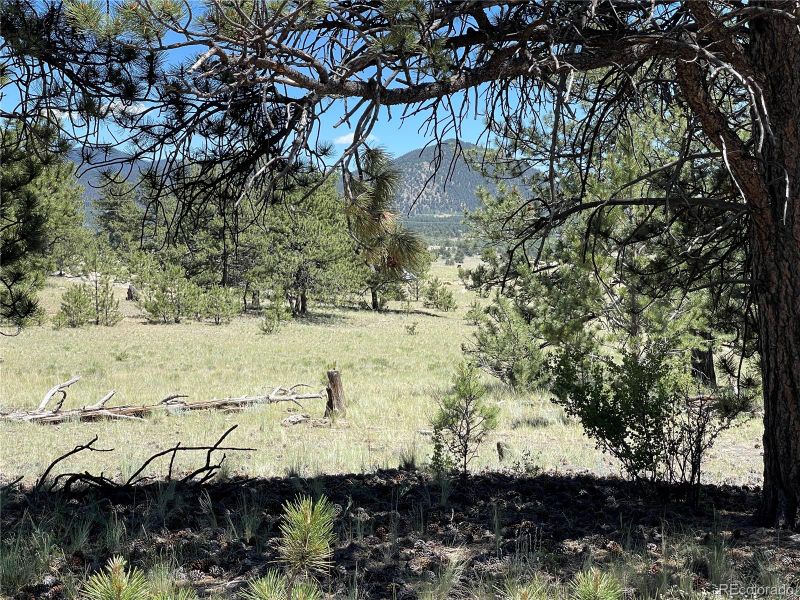 333 Jasper Way Lot 322, Hartsel, CO 80449