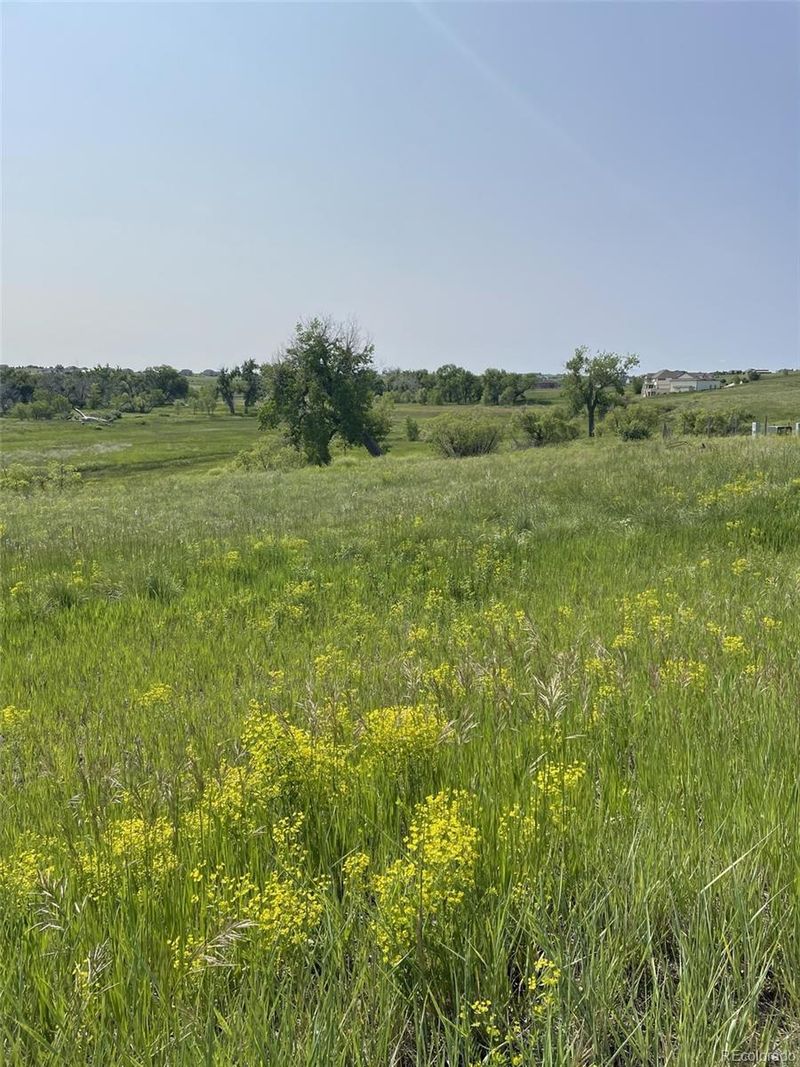 2508 Elkhorn Ranch St, Parker, CO 80138