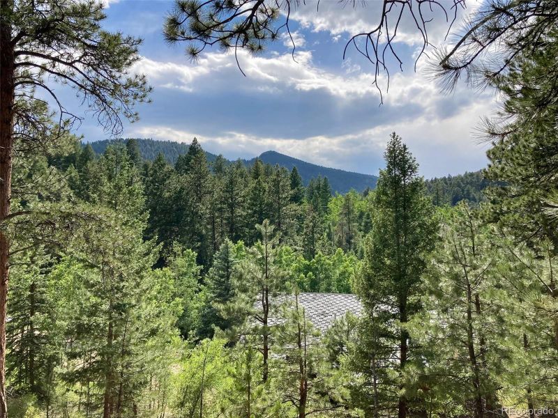 9560 Willow Creek Dr, Morrison, CO 80465
