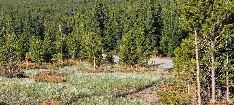 0000 Fall River Rd, Idaho Springs, CO 80452