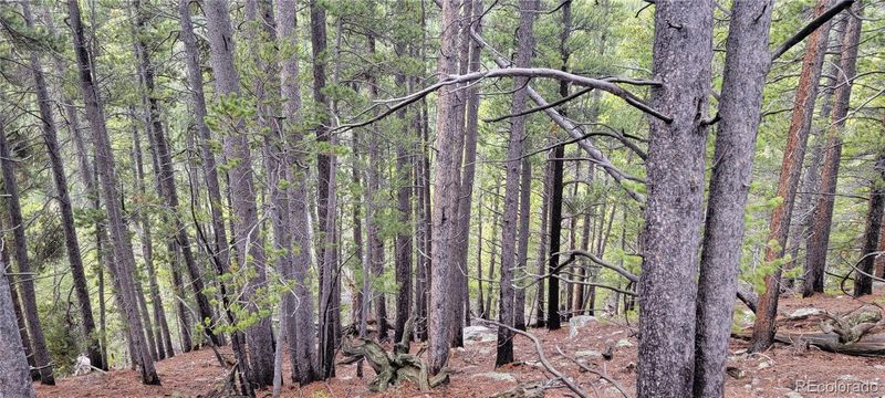 Tbd Vista Rd, Idaho Springs, CO 80452