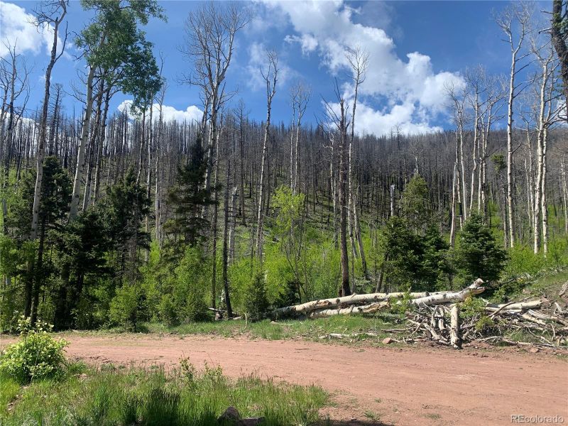 834 Huntington Ln, Fort Garland, CO 81134