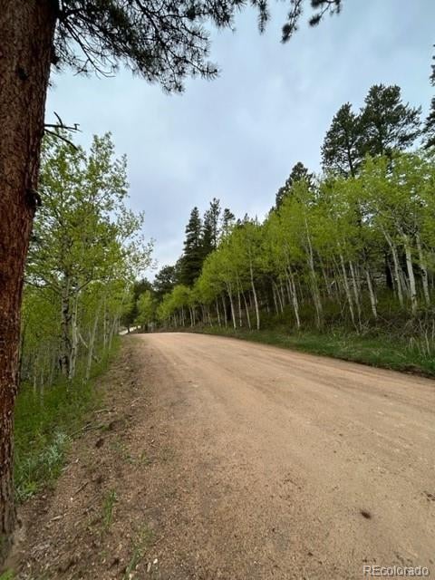 0 Upper Travis Gulch Rd, Rollinsville, CO 80474
