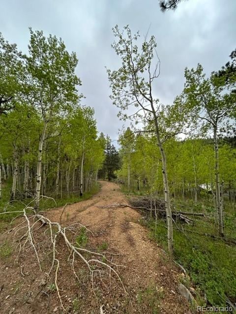 0 Upper Travis Gulch Rd, Rollinsville, CO 80474