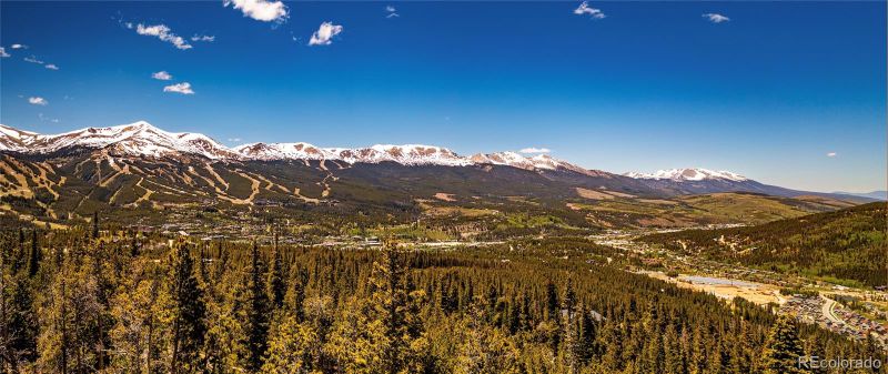247 Green Jay Ln, Breckenridge, CO 80424