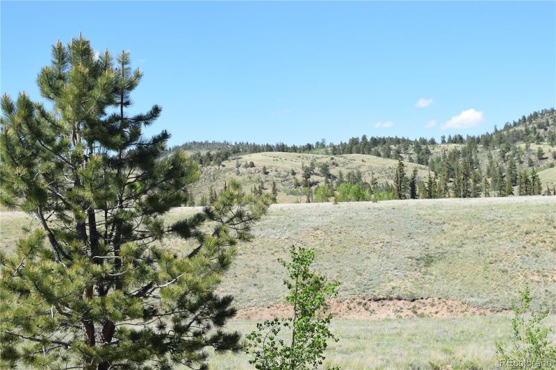 1053 Mcmurry Rd Lot 278, Hartsel, CO 80449