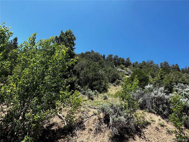 5916 Hoadley Rd Lot 5916, Fort Garland, CO 81133
