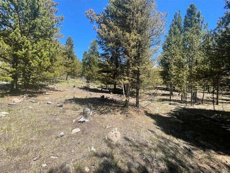 1503 Cornucopia, Leadville, CO 80461