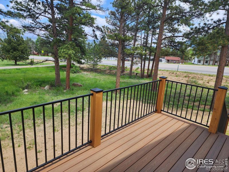 1151 Saxon Ct, Estes Park, CO 80517