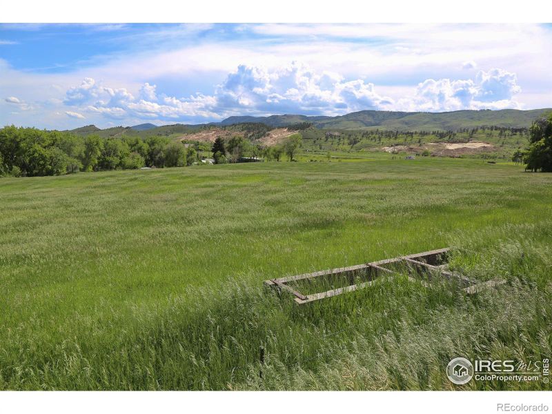 8842 Buckhorn Rd, Loveland, CO 80538