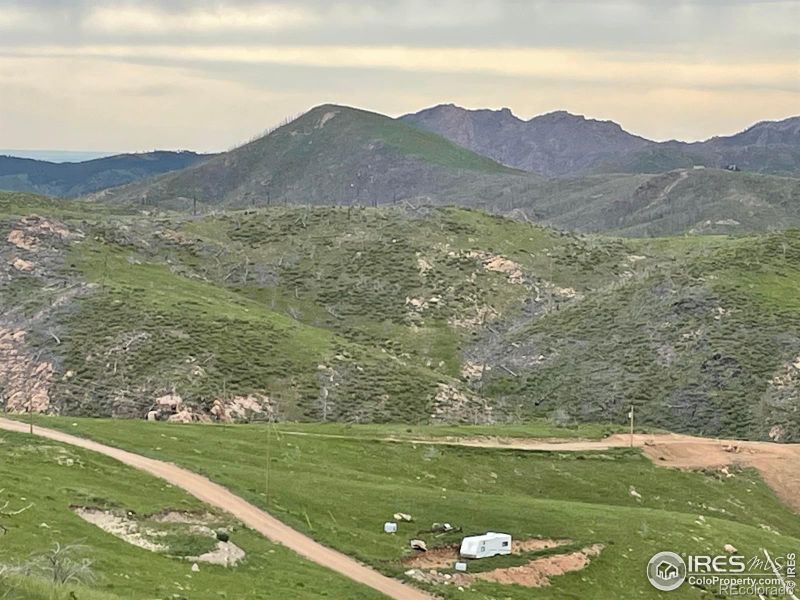 Haley Peak Ct, Livermore, CO 80536