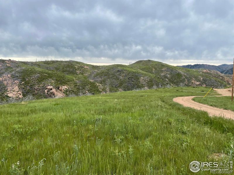 Haley Peak Ct, Livermore, CO 80536