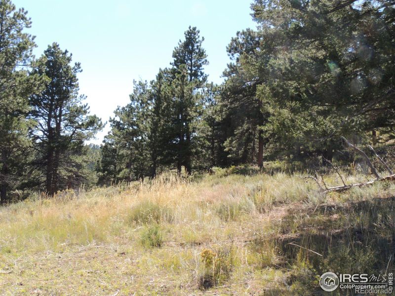 145 N Devils Creek Trl, Livermore, CO 80536