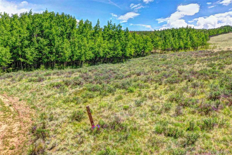2241 Georgia Dr, Jefferson, CO 80456