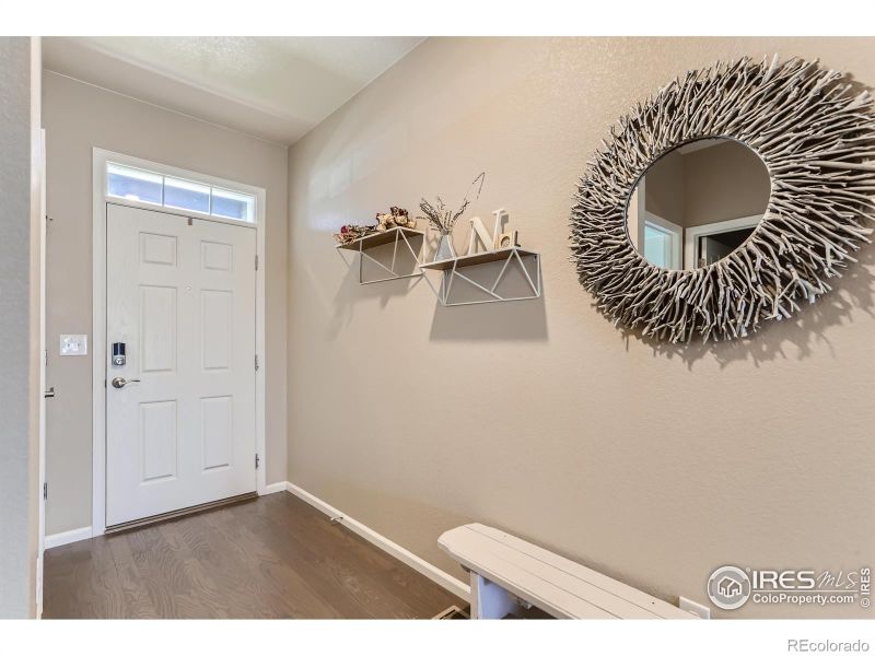 1617 Clarendon Dr, Windsor, CO 80550