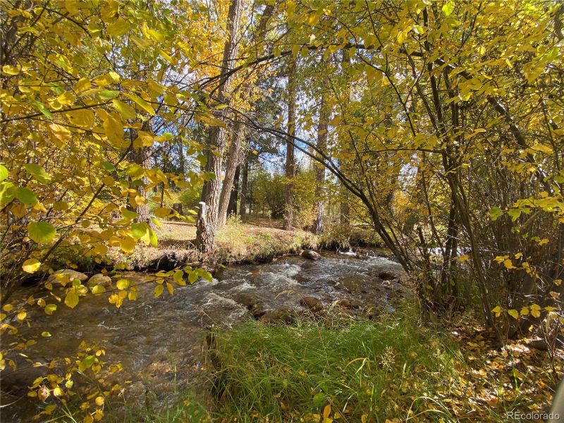 13300 County Road 261 M Lot 142, Nathrop, CO 81236