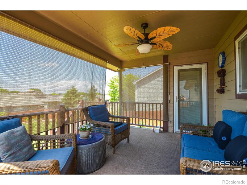 229 Timber Ridge Ct, Severance, CO 80550