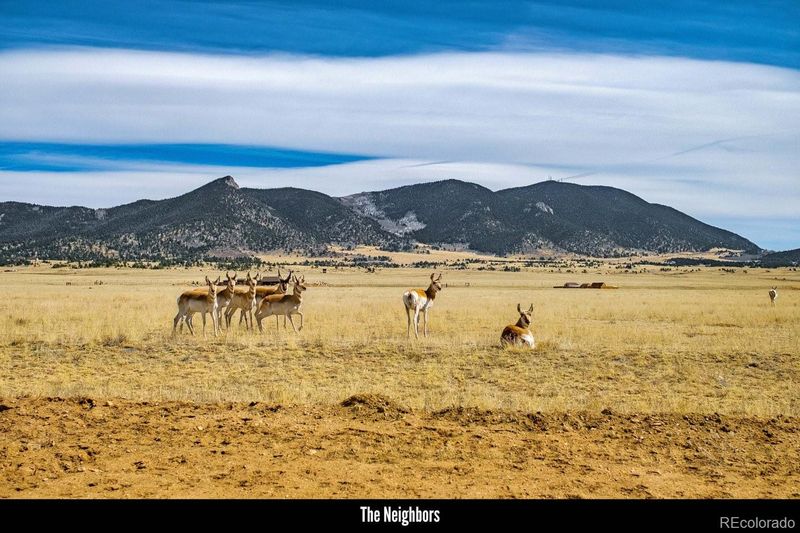 9310 Jackson Rd, Lake George, CO 80827